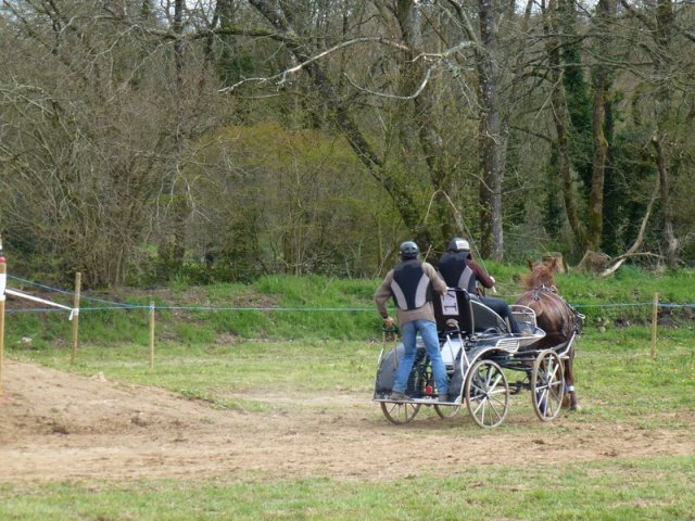 p1030335copier_20140524_2051418201