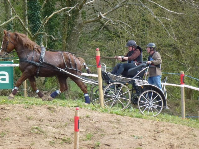 p1030336copier_20140524_1976477544