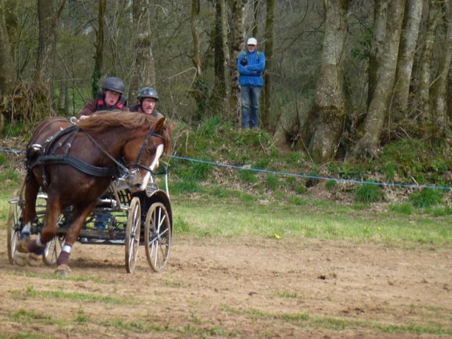 p1030337copier_20140524_1310382366