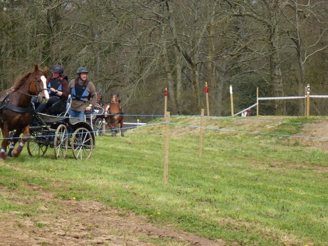 p1030341copier_20140524_1425325059