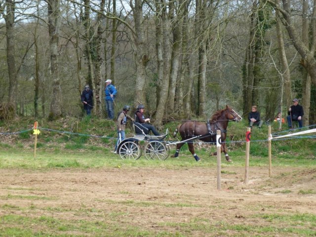 p1030343copier_20140524_1541935058