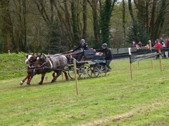 p1030353copier_20140524_1894220303