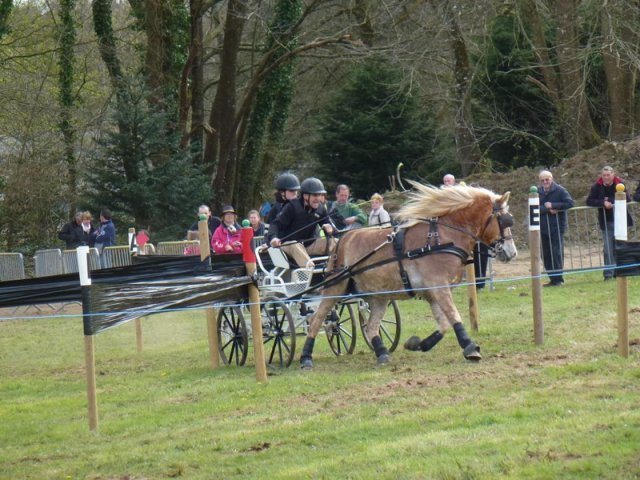 p1030356copier_20140524_1260807909