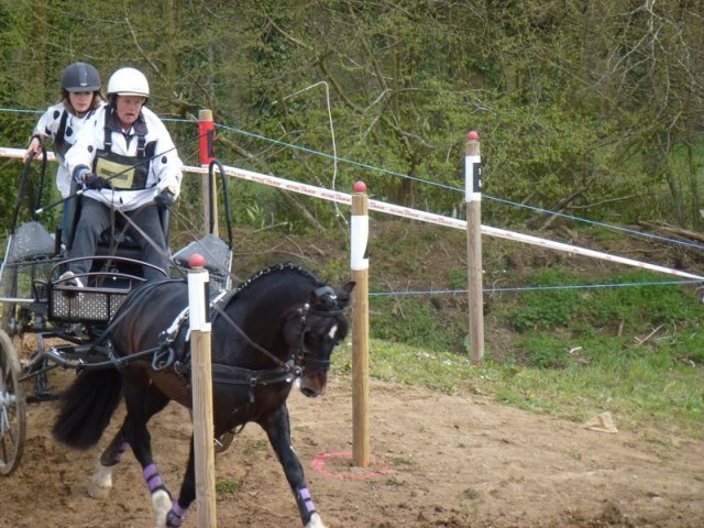 p1030366copier_20140524_1885229732