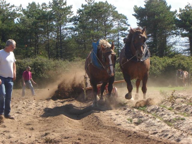 dsc02805medium_20140523_1952216028