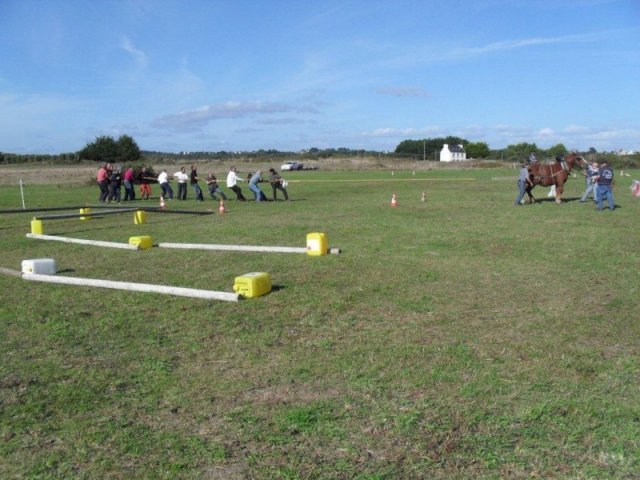 sdc10625800x600_20140523_1854695586