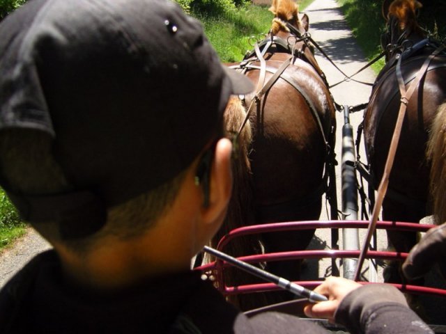 snc14085800x600_20140523_1422108840