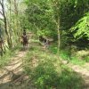 cranou-actm-040_20140523_1870817484
