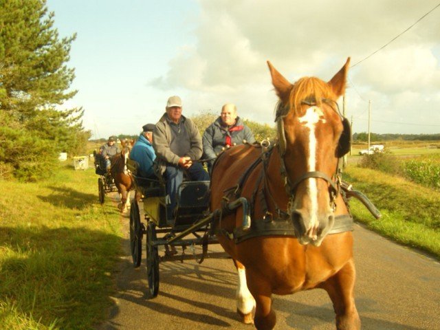 snc14725640x480_20140524_1446165304