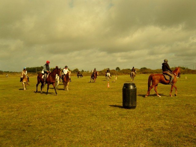 snc14807640x480_20140524_1184200293