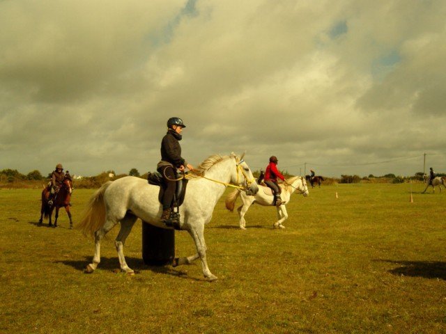 snc14817640x480_20140524_2051563499
