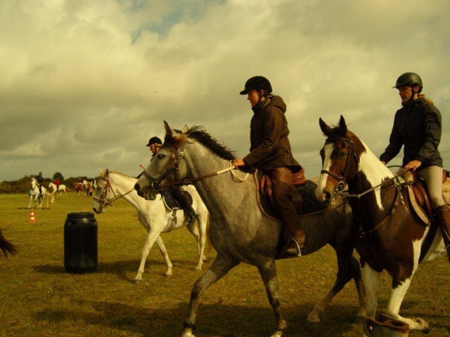 snc14825640x480_20140524_1642071507