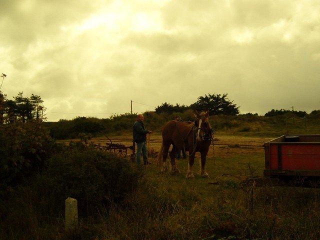 snc14841640x480_20140524_1536597015