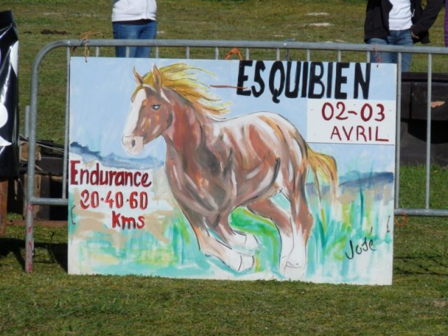p1090260800x600_20140523_1740650798