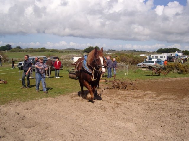 snc13776800x600_20140523_1900445214