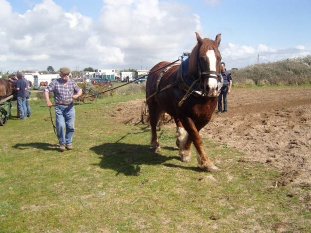 snc13781800x600_20140523_1687807655