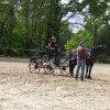 082-Stage Attelage le 7-8 mai à Gouesnac'h