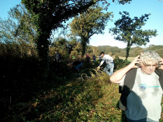 Journée débroussaillage  Plovan