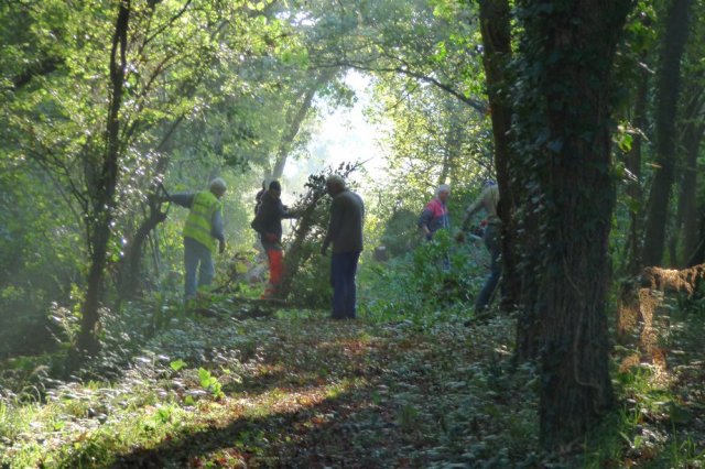 Journée débroussaillage  Plovan