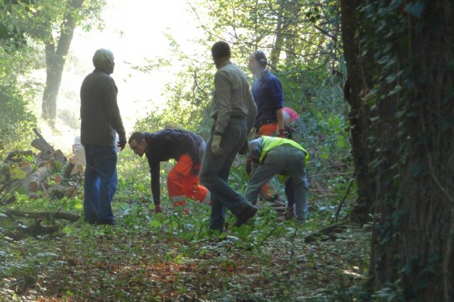 Journée débroussaillage  Plovan