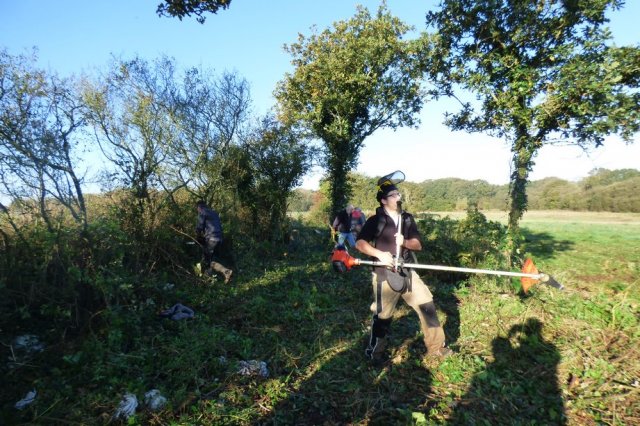 Journée débroussaillage  Plovan