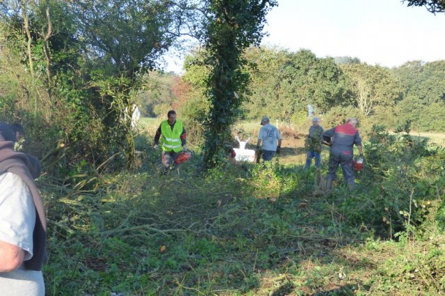 Journée débroussaillage  Plovan