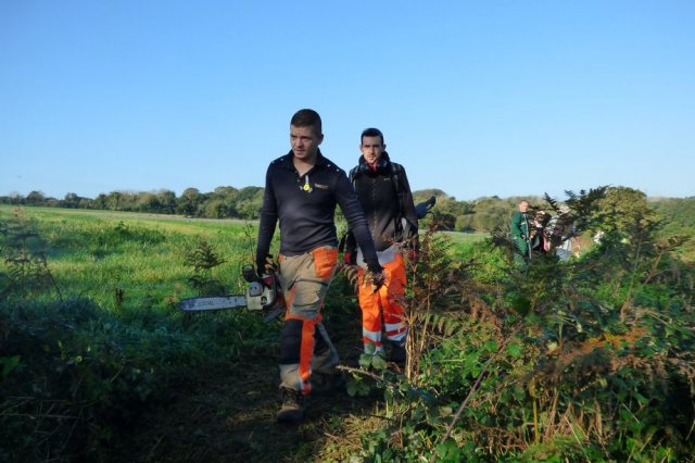 Journée débroussaillage  Plovan