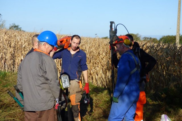 Journée débroussaillage  Plovan
