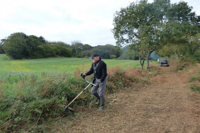 Journée débroussaillage  Plovan