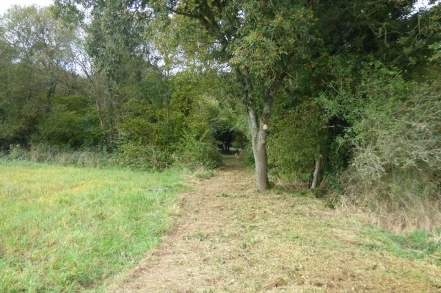 Journée débroussaillage  Plovan