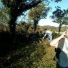 Journée débroussaillage  Plovan