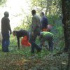 Journée débroussaillage  Plovan