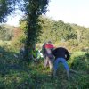 Journée débroussaillage  Plovan
