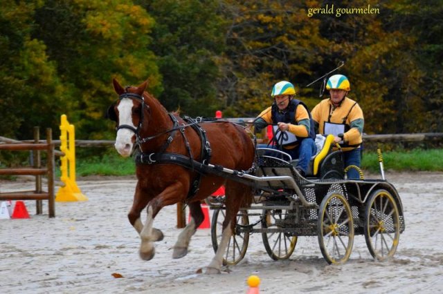 (080) Indoor du 11 novembre 2017
