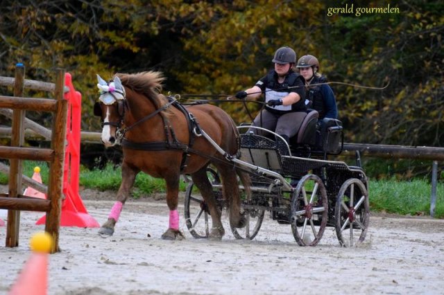 (080) Indoor du 11 novembre 2017