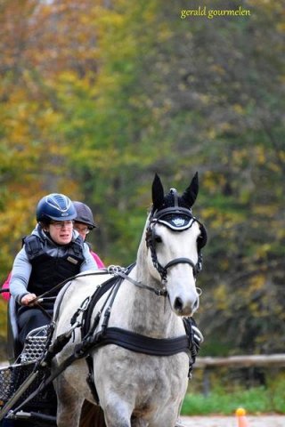 (080) Indoor du 11 novembre 2017