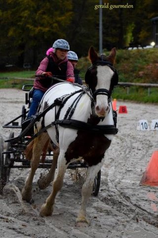(080) Indoor du 11 novembre 2017