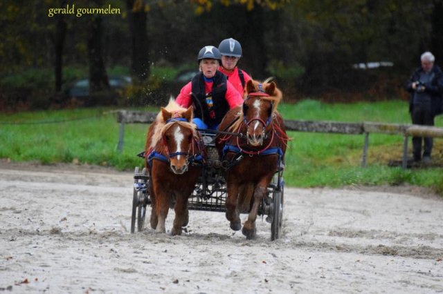 (080) Indoor du 11 novembre 2017