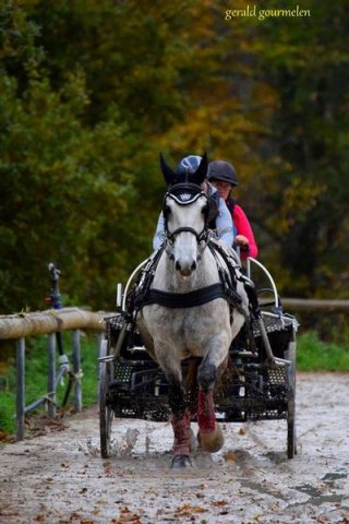 (080) Indoor du 11 novembre 2017