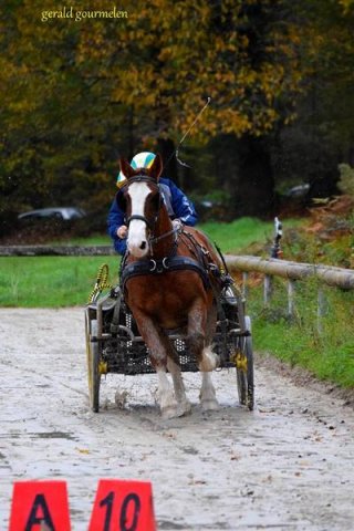 (080) Indoor du 11 novembre 2017