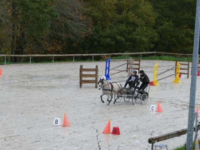 (080) Indoor du 11 novembre 2017