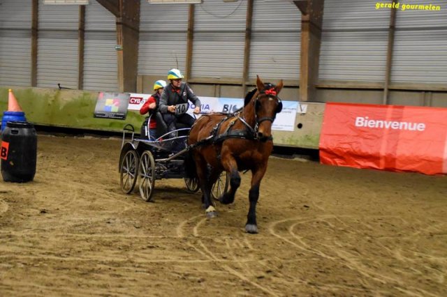 (080) Indoor du 11 novembre 2017