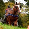 (080) Indoor du 11 novembre 2017