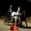 (080) Indoor du 11 novembre 2017