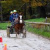 (080) Indoor du 11 novembre 2017