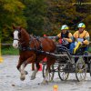 (080) Indoor du 11 novembre 2017