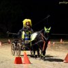 (080) Indoor du 11 novembre 2017