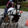 (080) Indoor du 11 novembre 2017
