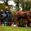 (080) Indoor du 11 novembre 2017