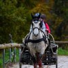 (080) Indoor du 11 novembre 2017